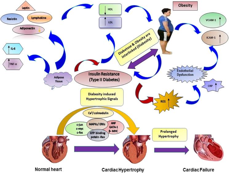 metabolic-disorders